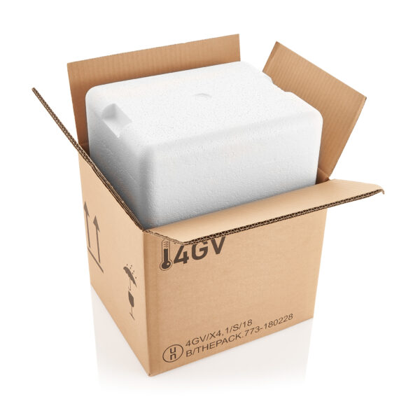 4GV POLY1 PS5 termopakend 290x240x255(205x154x175 mm)